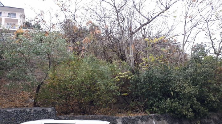 Участок 6 сот. (ИЖС)