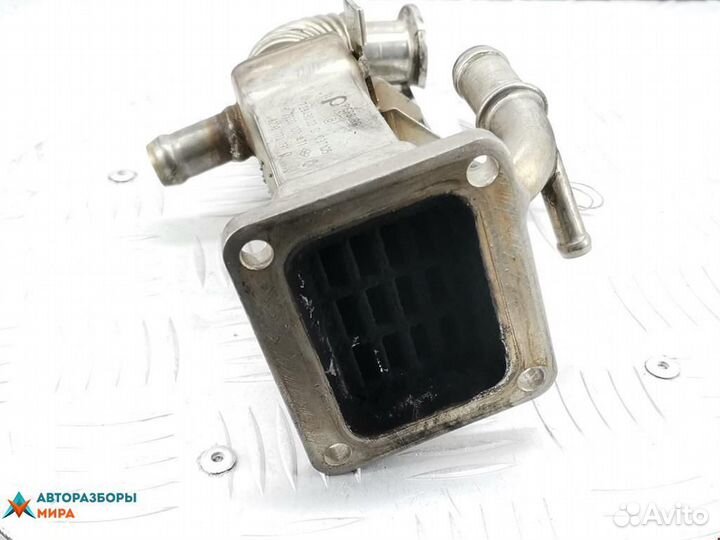 Охладитель EGR / Радиатор EGR Renault Trafic 2