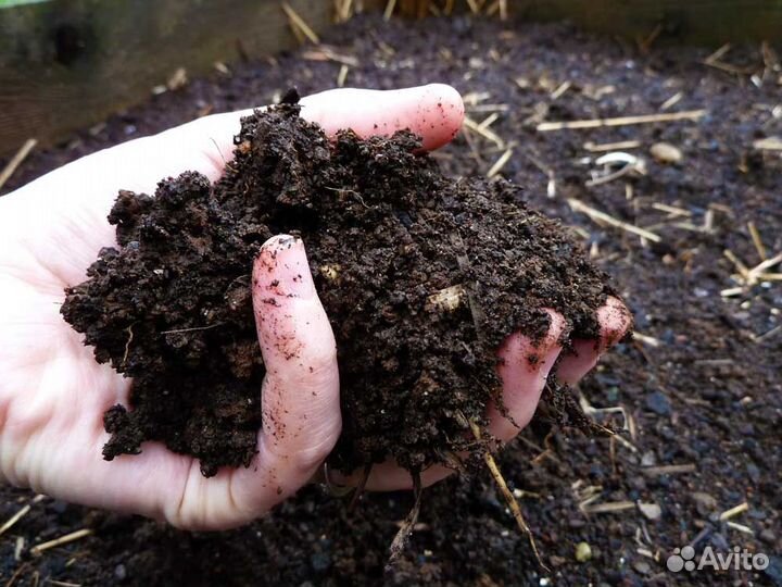 Торфогрунт