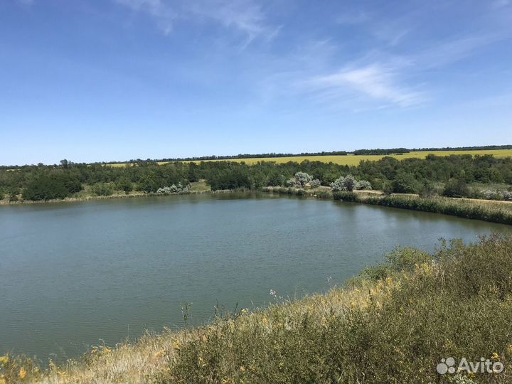 Пруд в аренду