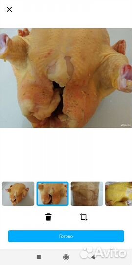 Домашние курочки