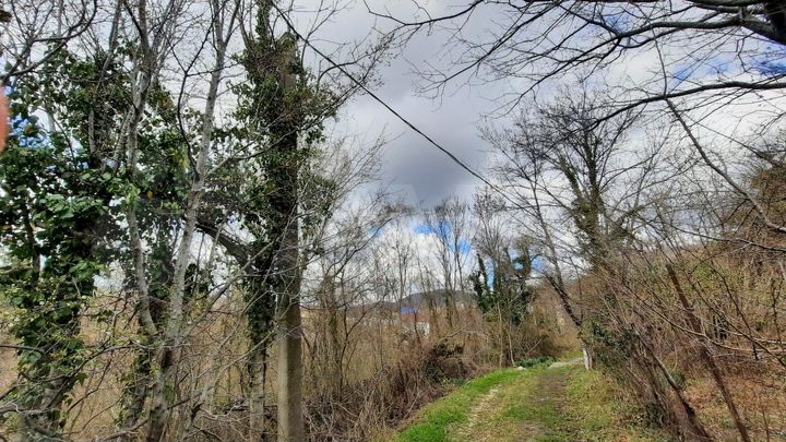 Участок 5,6 сот. (СНТ, ДНП)