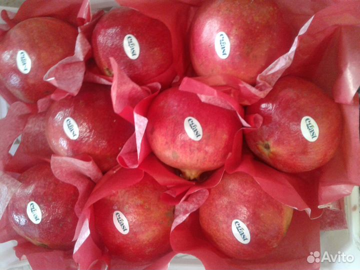 Гранат, Египет, сорт Балади / Вандерфул