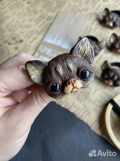 Резинка для волос чихуахуа