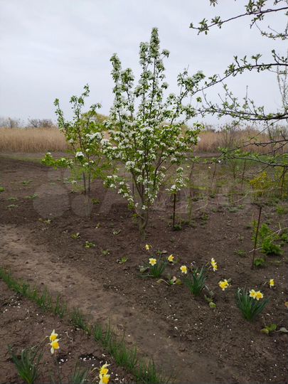 Дом 54 м² на участке 10 сот.