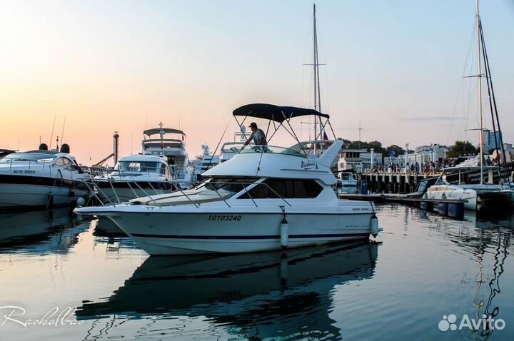 Катер /яхта Bayliner 288