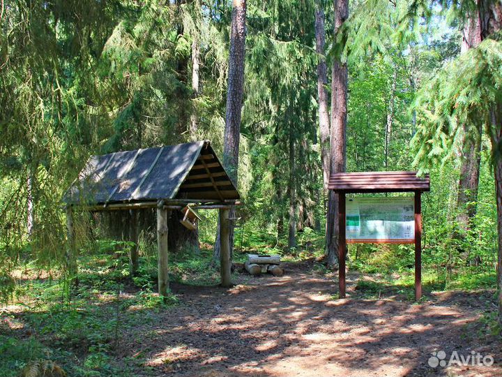 Калининград Топ-Экскурсия Природное и историческое