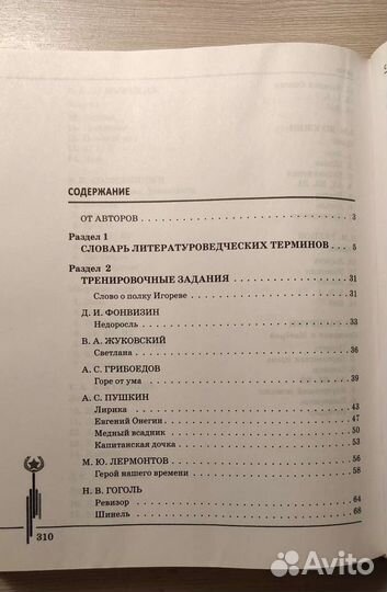 Подготовка к егэ по литературе