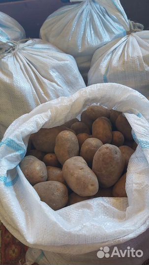 Картошка деревенская