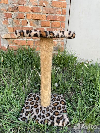 Когтеточка для кошек