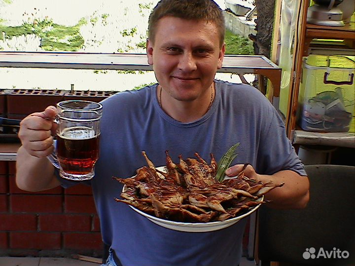 Тушки Перепела