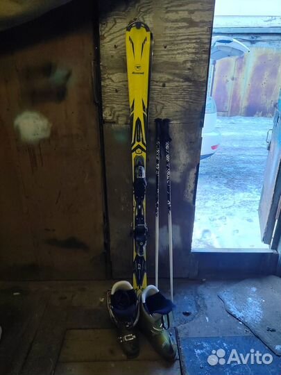 Горные лыжи