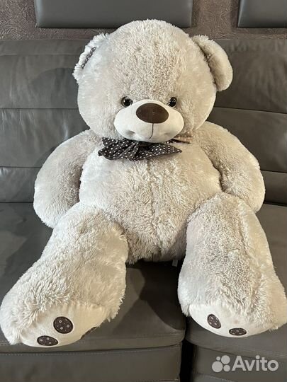 Плюшевый медведь большой и большая акула