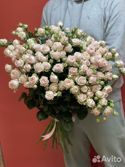 Кустовые розы пионавидный розы