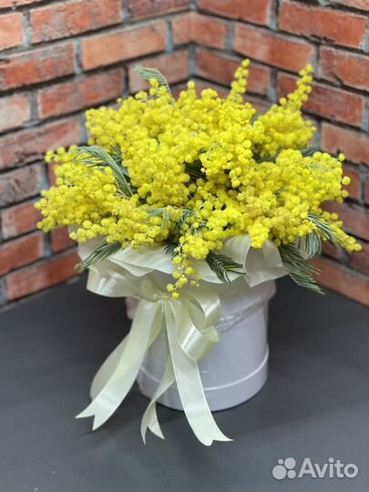 Мимоза букет цветы тюльпаны