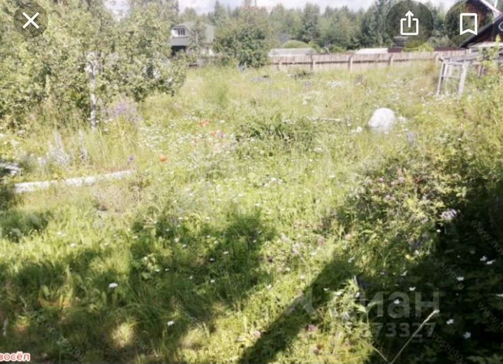 Дом 33,9 м² на участке 50 сот.