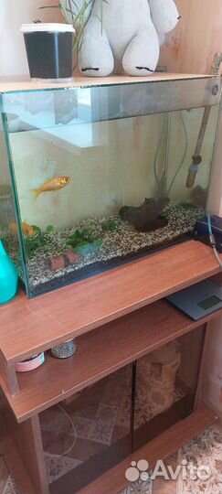 Аквариум