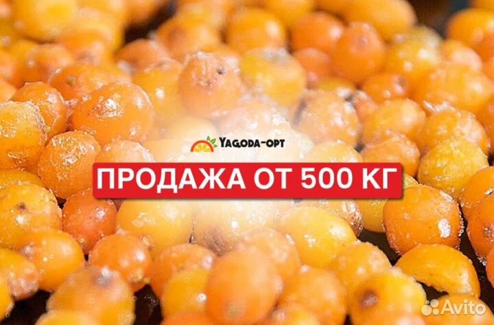 Замороженная облепиха крупный опт