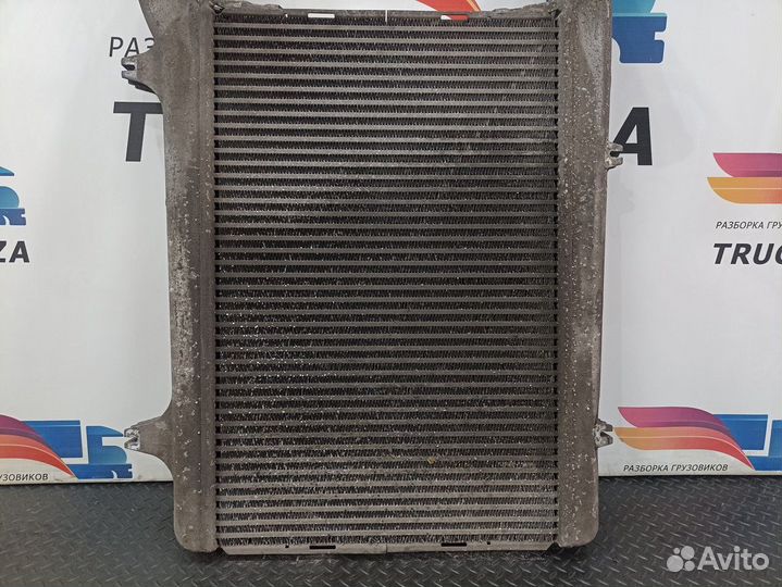 Интеркулер Daf XF105