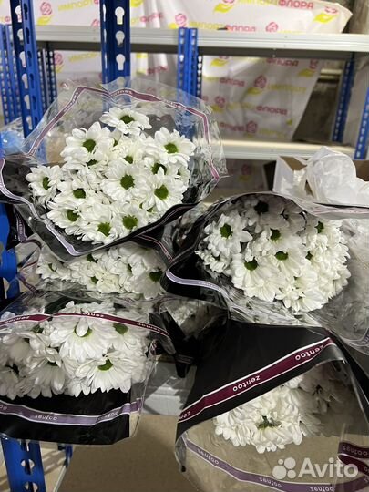 Цветы оптом в г. Елец