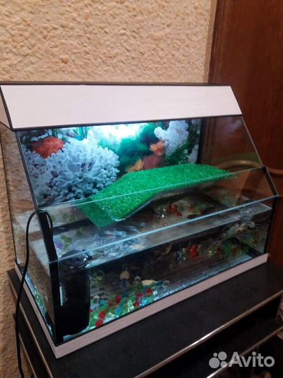 Террариум 70л открытый. Для красноухой. Новый