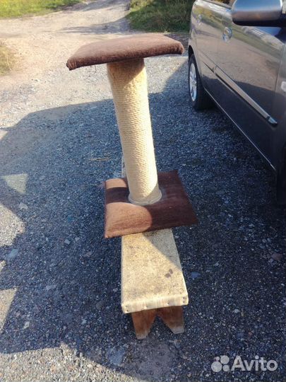 Когтеточка