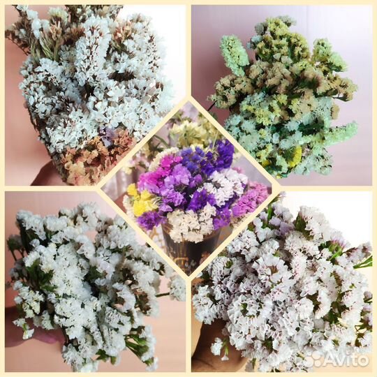 Сухоцветы для творчества