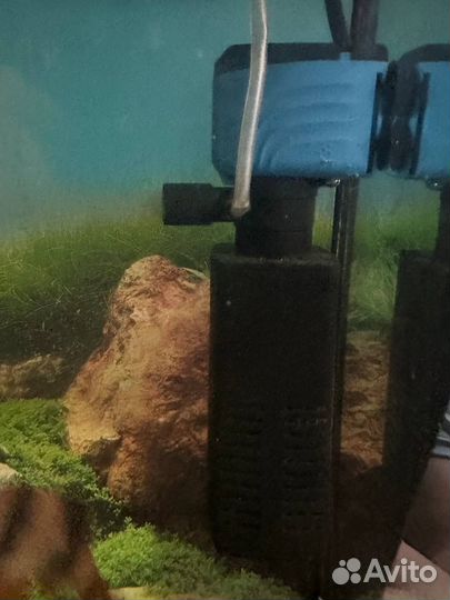 Аквариум с рыбками