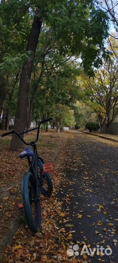 Wtp Crysis 2019 custom