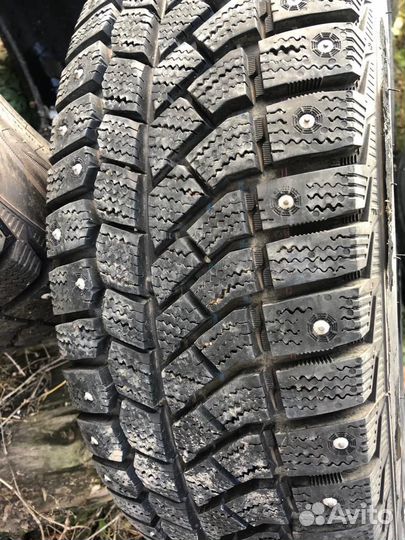 Viatti Brina Nordico V-522 195/65 R15 91
