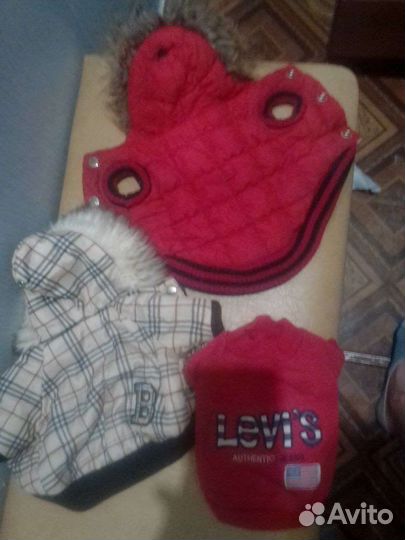 Одежда для собак мелких пород