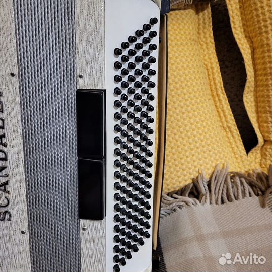 Аккордеон scandalli