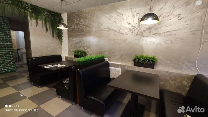 Деревья Фитостены и озеленение интерьера