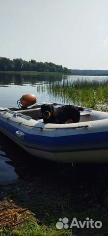 Пвх лодка 450 под мотор бронь купить в Кимрах | Транспорт | Авито