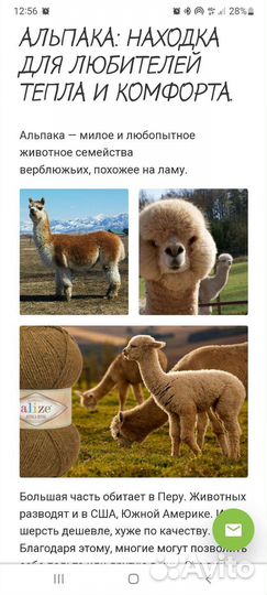 Снуд, пончо, накидка, 3 в 1