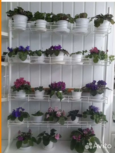Стеллаж рассадный на 4 стеллажа