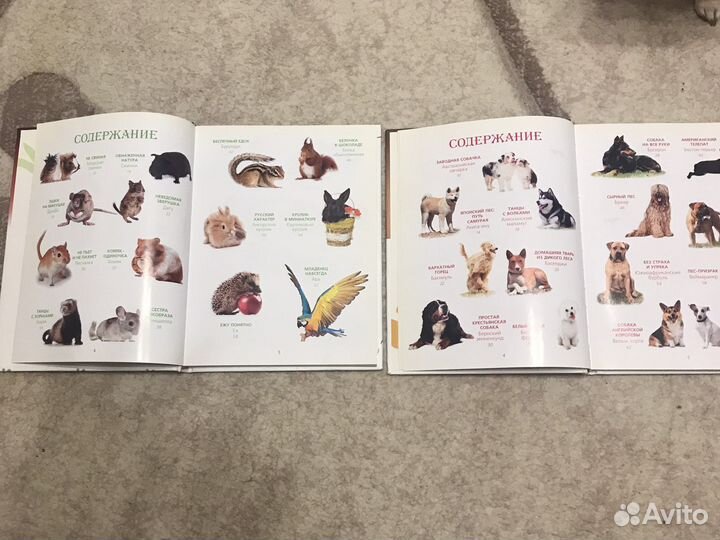 Книги для детей