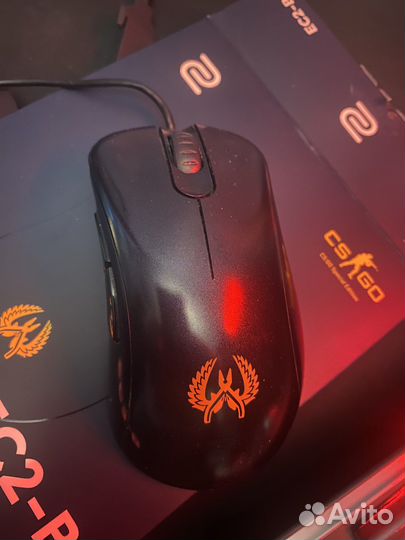 Zowie ec-2 b CS:GO Version