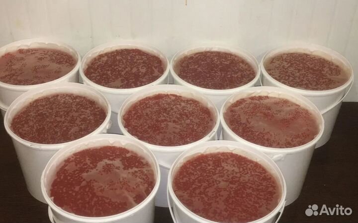 Красная икра (лососевая)