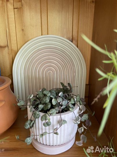 Декор для дома из гипса Арка