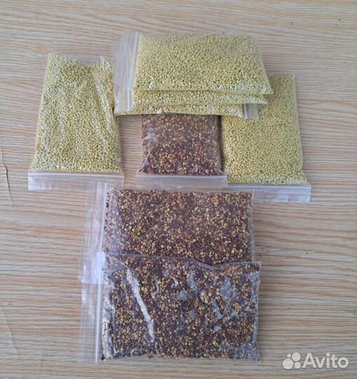 Пыльца пчелиная урожай 2023