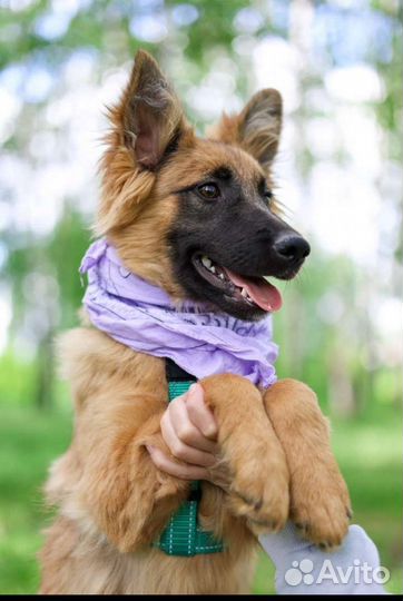 Забери меня домой