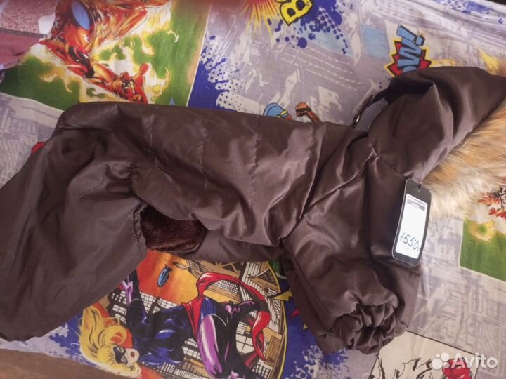 Костюм для маленькой собаки