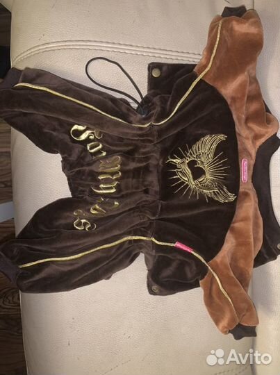 Одежда для собак