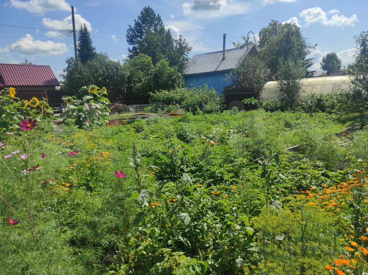 Дача 38 м² на участке 4,1 сот.