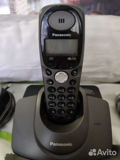 Panasonic