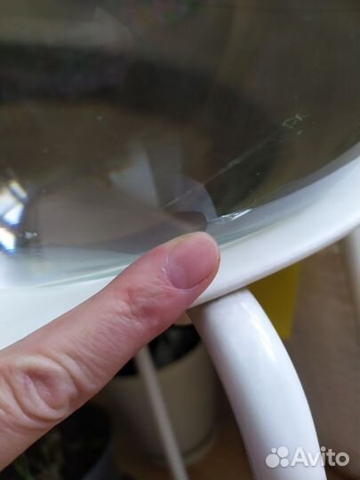 Аквариум 10 литров. Флорариум. Террариум