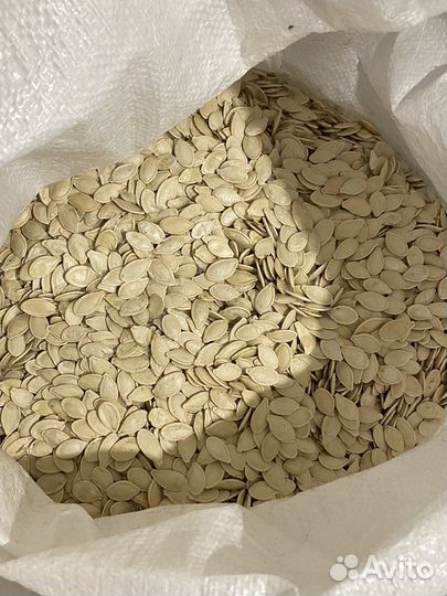 Тыквенные семечки опт