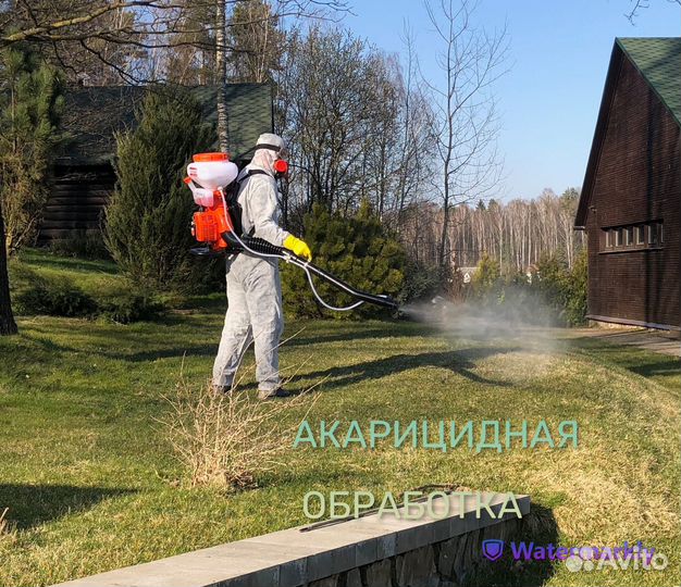 Обработка от клещей. Акарицидная обработка