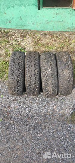 Nexen Winguard 175/65 R14 T